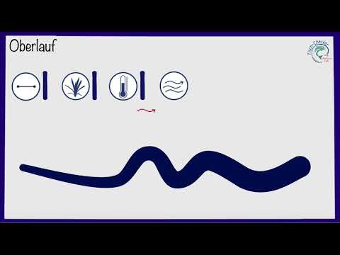 Was sind... Fließgewässer?