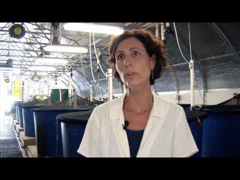 FAU Faculty Spotlight - Megan Davis, Ph.D.