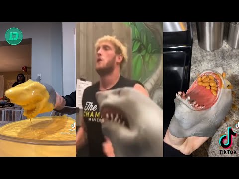 Shark Puppet Best TikTok Compilation 2020 | All Shark Puppet Funny Videos