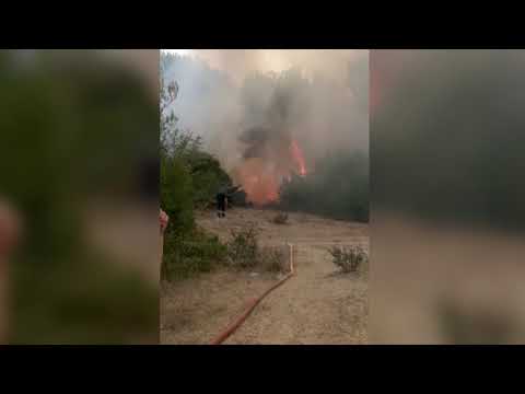 Vlorë, pylli përfshihet nga flakët/ Shkrumbohen pishat shumëvjeçare, në rrezik disa banesa