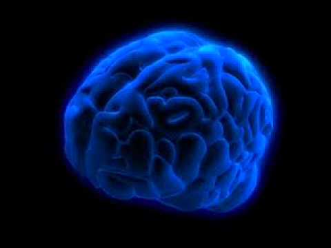 Rymoplastykon feat. Mona - Obudź mnie