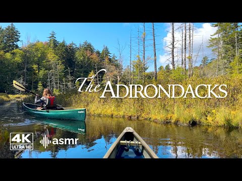 1 Hour Relaxing Canoe Video | ASMR Nature | Sleep | Study | Adirondack Paddling