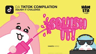 Cover art for HAMSTA TikTok: da SquishItChallenge