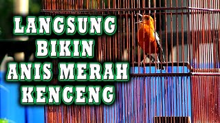 Download lagu ANIS MERAH JADI singset DAN LANGSUNG BUNYI GACOR JIKA DIPUTARKAN INI   #pancingananismerah mp3