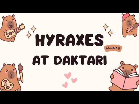 Giving Hyraxes Love, Care and Protection