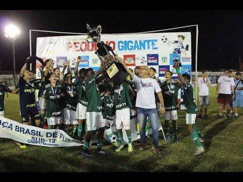 Palmeiras Campeão da Taça Brasil 2019 - sub 12 - Palmeiras x Grêmio - 4x0