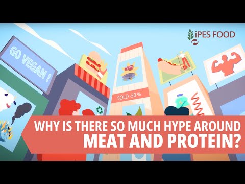 WHY THE HYPE AROUND MEAT AND PROTEIN?
