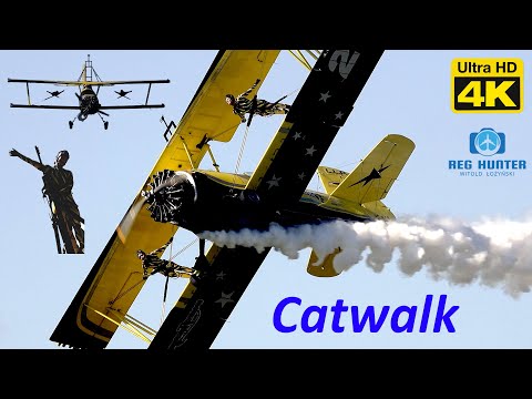 Grumman G-164 Ag-Cat Scandinavian Airshow Antidotum Airshow Leszno 2024