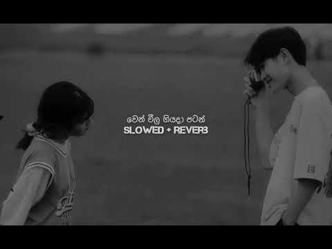 Wen Weela Giyada Patan | වෙන් වීල ගියදා පටන් | @RuwanHettiarachchi | (Slowed+Reverb) 🤍!!