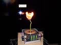 Comeback Dandelion And Tesla Coil Experiment Squidgame Plant Flower