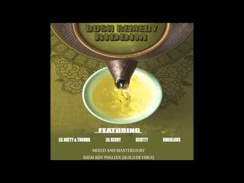 Lil Natty & Thunda Ft Areacode - No Dirty [Raw] (Bush Remedy Riddim)