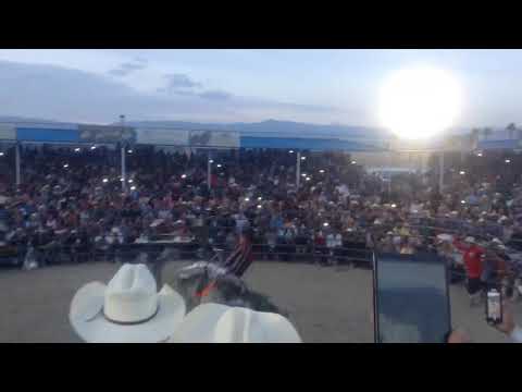 PRIMERA VEZ A GRAPA Gallito de Morelia vs El Lluvia De Estrellas