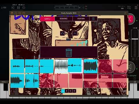 Koala Sampler DigiStix Digikeys ,pocket singer LoopBud