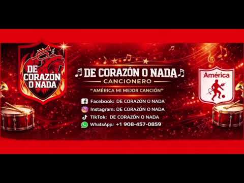 Miniatura de Canción 13 - SOMOS LA HINCHADA DE LOS CANTOS - RUMBERTO