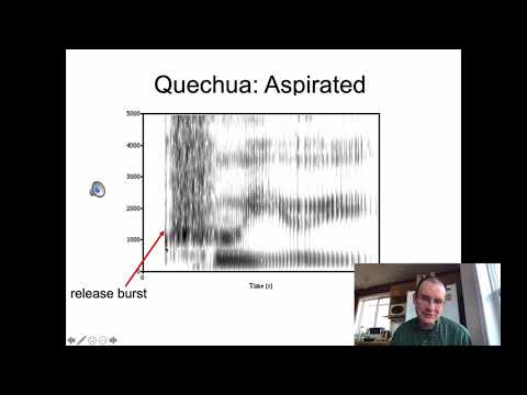 Ling 341 - Intro Phonetics - VOT, part 1
