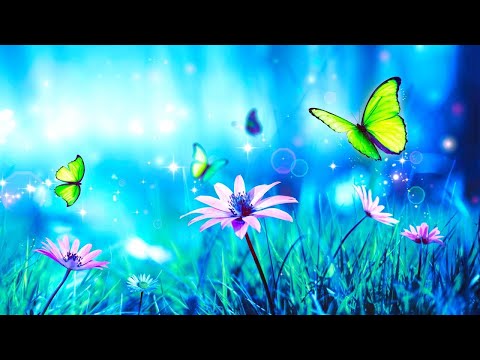 Sonido de Lluvia y los Animales del Bosque - HD Lluvia - Relajarse, Dormir