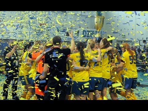 WU19 WFC 2014 - SWE v FIN (Final) Highlights