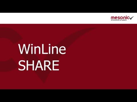 mesonic WinLine Share - Social Collaboration