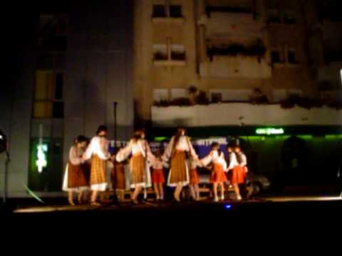 Ansamblul Valurile Dunarii