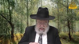 דף היומי בחצי שעה – בבא מציעא דף ה’