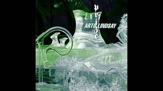 Arto Lindsay - Prize (full album)