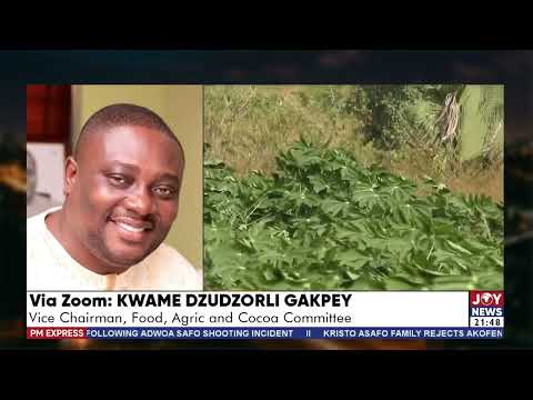 Ghana's food storage crisis: Stronger cedi has not reduced demand for produce - Kwame Gakpey
