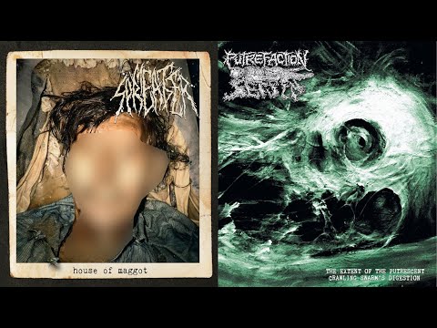 Meat Spreader / Putrefaction Sets In- split 7" FULL ALBUM (2025 - Goregrind)