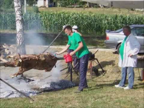 festival Cvetlin 2011