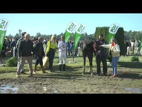 SINT PAYSANDU - 220718 c01 - 1° TOPUS