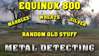 Metal Detecting: Minelab Equinox 800 - Random Old Finds