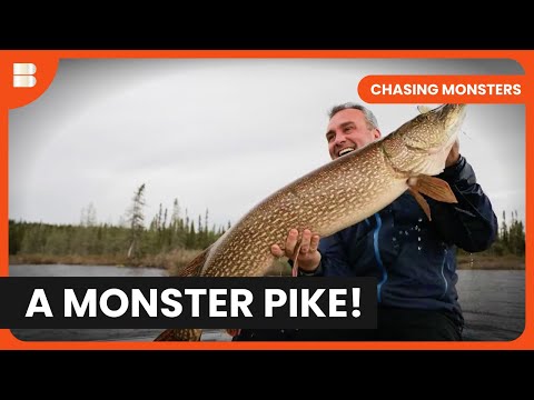 Giant Pike in the Ice Waters! - Chasing Monsters - S05 EP04 - Fishing Show