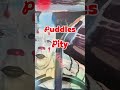 Puddles Pity Party - Drivin n Cryin #puddlespityparty #drivinncryin #kevnkinney #letsgodancing #art