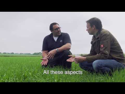 Bayer - Customer Success Story