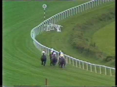 1988 Festival Stakes