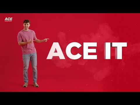 ACE IT - ACE Money Transfer - Instant Money Transfers