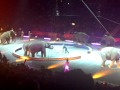 Ringling Bros Circus Elephants