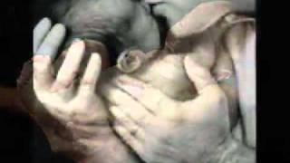 YO SOY -- DESCANSA EN MI -- MARCO BARRIENTOS--TU SUEÑO CUIDARE