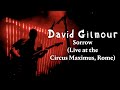 David Gilmour Sorrow Live At The Circus Maximus Rome