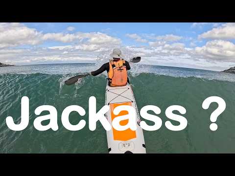 Jackass: How much risk it TOO MUCH RISK ?