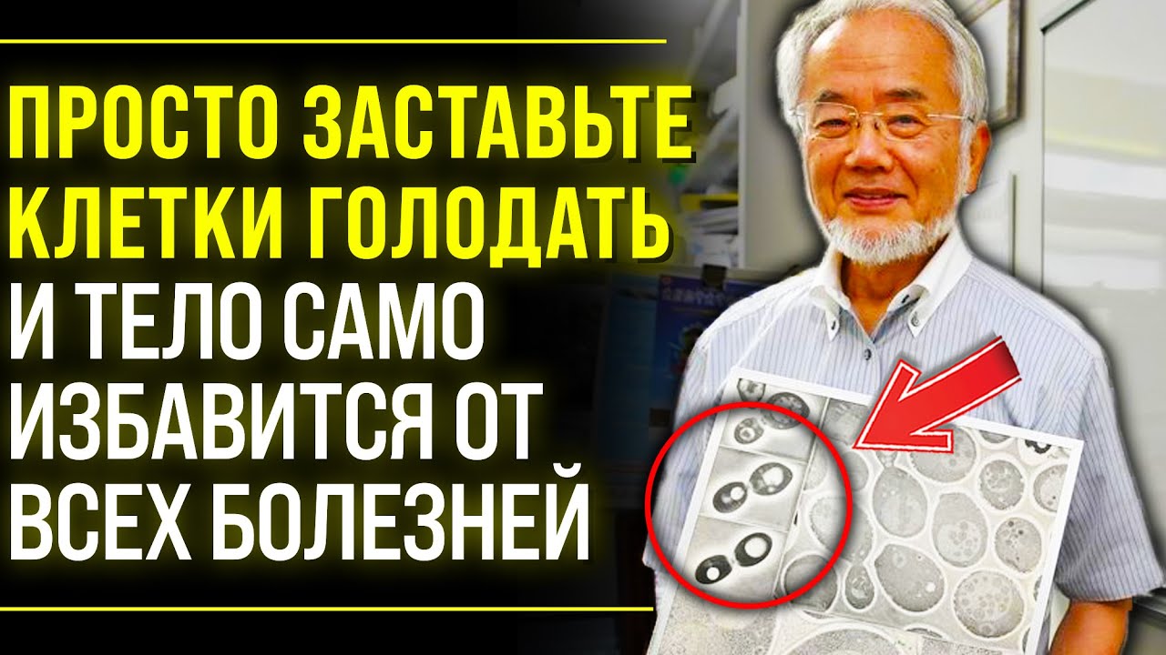ВЕЛИЧАЙШЕЕ ОТКРЫТИЕ 21 ВЕКА! Гениальный Ученый Есинори Осуми и Его Метод Голодания