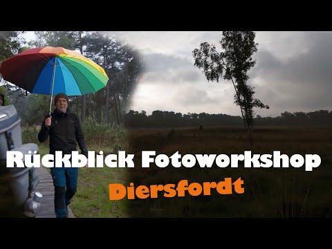 Fotoworkshop Landschaftsfotografie am Niederrhein im Diersfordter Wald | mit @oliverhummell