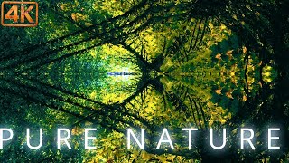 Download lagu Floating Through Tree Dimensions |1h  Trippy Nature Visuals 4K mp3 Download lagu Floating Through Tree Dimensions |1h  Trippy Nature Visuals 4K mp3