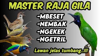 Download lagu Lawan auto tepar !! INI DIA MASTERAN CUCAK HIJAU FULL ISIAN TEMBAKAN MEWAH‼️ mp3 Download lagu Lawan auto tepar !! INI DIA MASTERAN CUCAK HIJAU FULL ISIAN TEMBAKAN MEWAH‼️ mp3