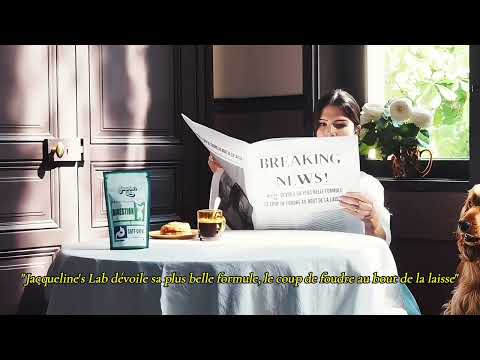 Teaser – Au Bout de la Laisse