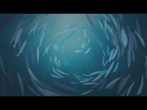 Water - Stasa Mirkovic Grujic, traditional theme Niska Banja, topla voda, Nikola Tesla Frequency 369