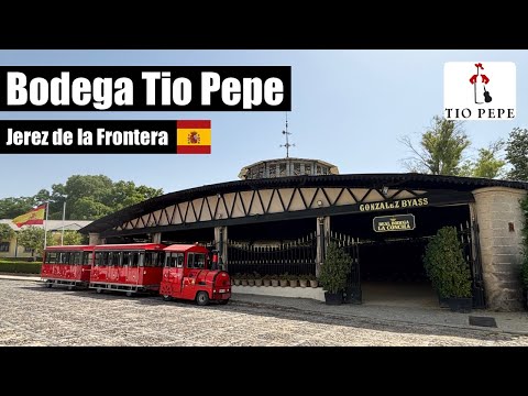 Inside Bodega Tío Pepe: Guided Sherry Tour at Jerez’s Iconic Winery 🇪🇸