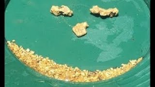 The Crew Find A Nugget Trap Full Of Gold !!! ask Jeff Williams