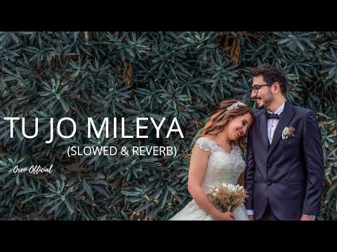 Tu Jo Mileya | Slowed And Reverb | Mp3 Song