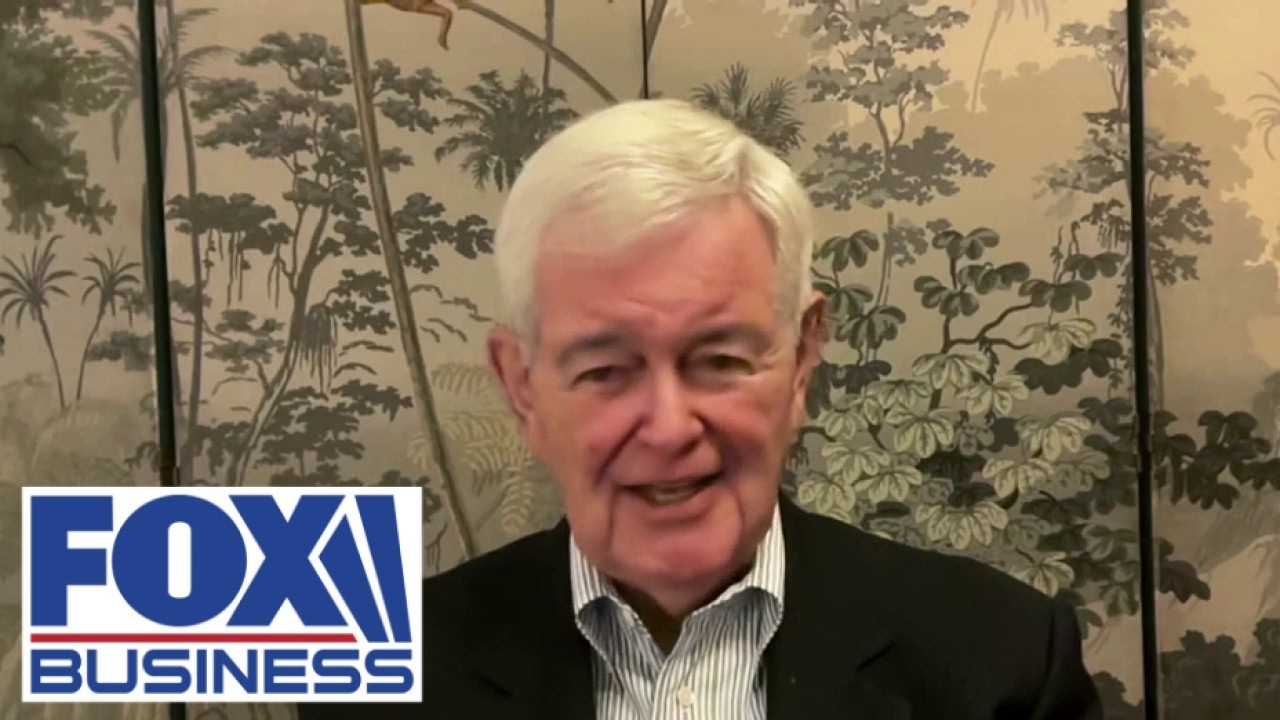 Newt Gingrich: Democrats are desperately counting on AMNESIA