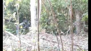 preview picture of video 'Vídeo de juego real en Camuflaxe Paintball'